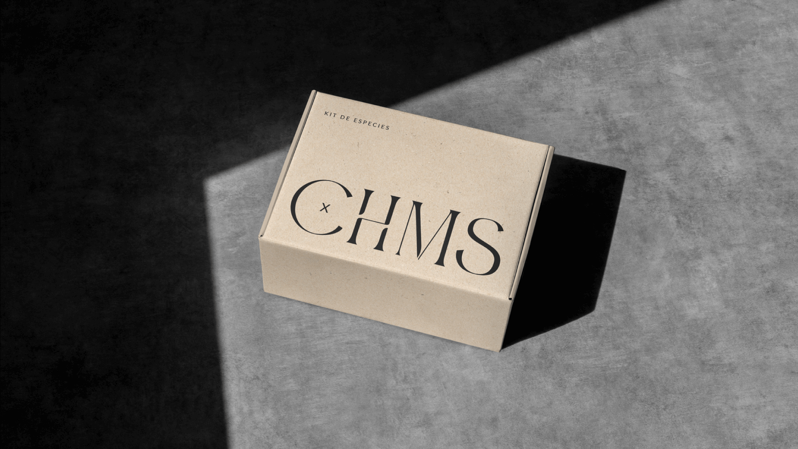CHMS-Portfolio11