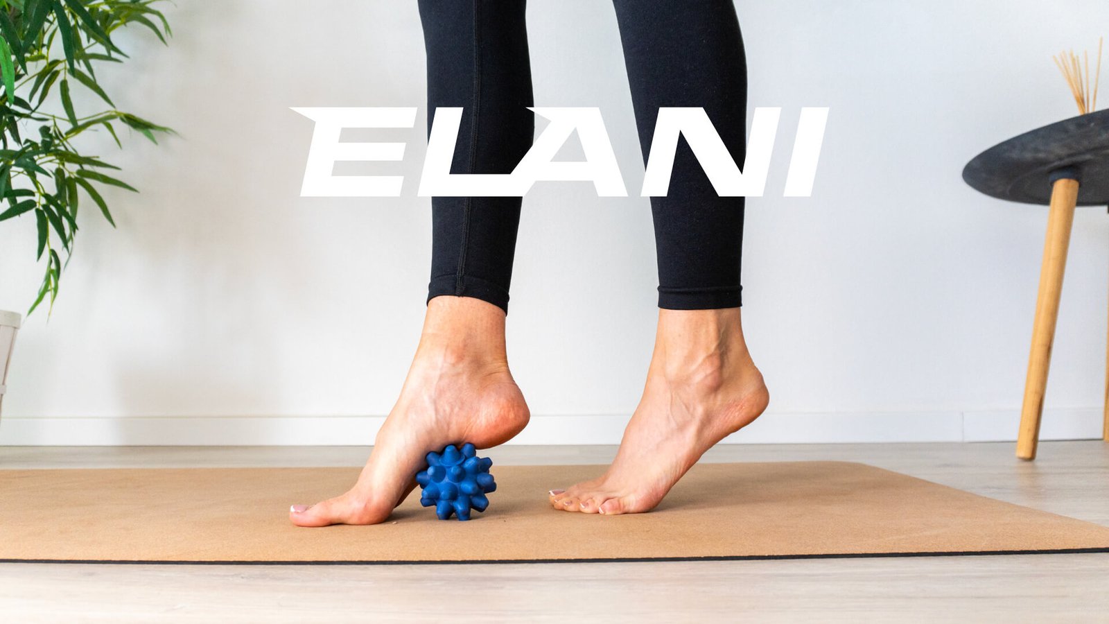 ELANI-26-1